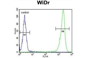 DEK Antibody (C-term) flow cytometric analysis of WiDr cells (right histogram) compared to a negative control cell (left histogram). (DEK 抗体  (C-Term))