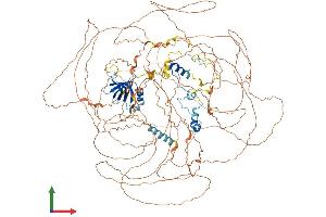 Protein Structure (PS) image for Ataxin 2 (ATXN2) (AA 1-1285) protein (His tag) (ABIN7562532)