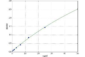 A typical standard curve (CEBPE ELISA 试剂盒)