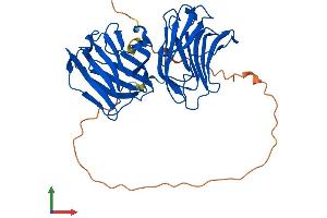 Protein Structure (PS) image for Lectin, Galactoside-Binding, Soluble, 9 (LGALS9) (AA 1-355) protein (His tag) (ABIN7554407)
