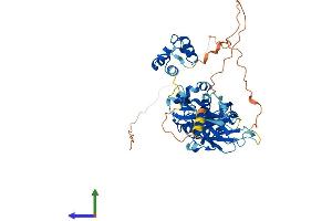 AlphaFold protein structure predicition of Human Recombinant TFCP2 Protein, UniprotID Q12800 (TFCP2 Protein (AA 1-502) (His tag))
