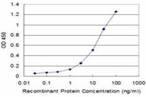 Detection limit for recombinant GST tagged EXO1 is approximately 1ng/ml as a capture antibody. (Exonuclease 1 抗体  (AA 747-846))