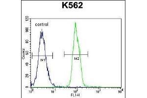 SFRP4 Antibody (C-term) (ABIN655521 and ABIN2845035) flow cytometric analysis of K562 cells (right histogram) compared to a negative control cell (left histogram). (SFRP4 抗体  (C-Term))