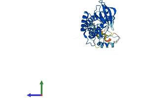 Protein Structure (PS) image for NIMA (Never in Mitosis Gene A)-Related Kinase 6 (NEK6) (AA 1-313) protein (His tag) (ABIN7561457)
