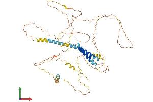 AlphaFold protein structure predicition of Mouse Recombinant Tmem200a Protein, UniprotID Q8C817