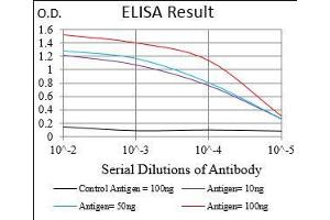 Black line: Control Antigen (100 ng), Purple line: Antigen(10 ng), Blue line: Antigen (50 ng), Red line: Antigen (100 ng), (MCAM 抗体  (AA 84-189))
