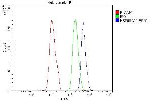 anti-Heat Shock Protein 90kDa alpha (Cytosolic), Class A Member 1 (HSP90AA1) (AA 454-488), (C-Term) antibody