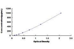 Typical standard curve (FLNB ELISA 试剂盒)