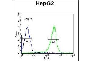 PCBD1 Antibody (Center) (ABIN653056 and ABIN2842659) flow cytometric analysis of HepG2 cells (right histogram) compared to a negative control cell (left histogram). (PCBD1 抗体  (AA 11-37))