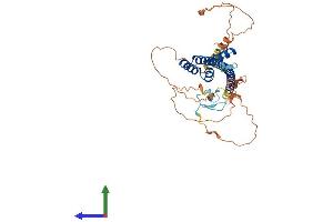 AlphaFold protein structure predicition of Human Recombinant TEX13A Protein, UniprotID Q9BXU3