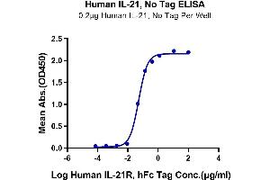 Immobilized Human IL-21 at 2 μg/mL (100 μL/Well) on the plate. (IL-21 蛋白)