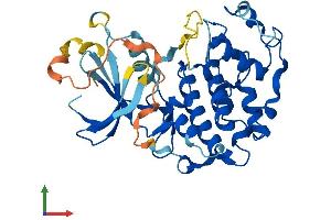 Protein Structure (PS) image for Cyclin-Dependent Kinase 20 (CDK20) (AA 1-346) protein (His tag) (ABIN7561520)