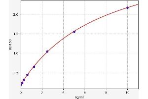 SLC3A2 ELISA 试剂盒