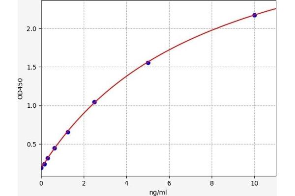 SLC3A2 ELISA 试剂盒