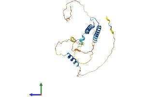 AlphaFold protein structure predicition of Human Recombinant MYF5 Protein, UniprotID P13349