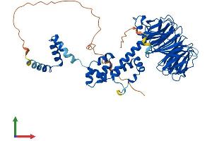 Protein Structure (PS) image for F-Box and WD Repeat Domain Containing 11 (FBXW11) (AA 1-542) protein (His tag) (ABIN7563834)