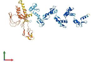 AlphaFold protein structure predicition of Human Recombinant ZNF77 Protein, UniprotID Q15935