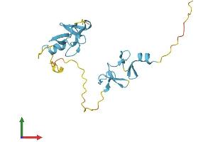 Protein Structure (PS) image for Cysteine and Glycine-Rich Protein 2 (CSRP2) (AA 1-193) protein (His tag) (ABIN7556780)