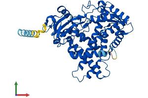 Protein Structure (PS) image for Cytochrome P450, Family 2, Subfamily B, Polypeptide 6 (CYP2B6) (AA 1-491) protein (His tag) (ABIN7546714)