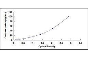 Dopa Decarboxylase (Aromatic L-Amino Acid Decarboxylase) (DDC) ELISA Kit