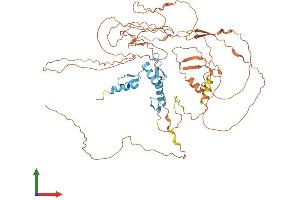 Protein Structure (PS) image for Sp2 Transcription Factor (Sp2) (AA 1-612) protein (His tag) (ABIN7560914)