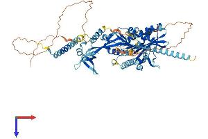 AlphaFold protein structure predicition of Mouse Recombinant Kif2b Protein, UniprotID Q8C0N1