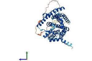 AlphaFold protein structure predicition of Mouse Recombinant Sgpp1 Protein, UniprotID Q9JI99