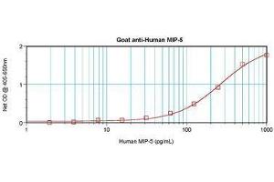 Image no. 3 for anti-Chemokine (C-C Motif) Ligand 15 (CCL15) antibody (ABIN464833) (CCL15 抗体)