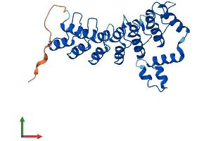 Protein Structure (PS) image for Ankyrin Repeat and SOCS Box Containing 13 (ASB13) (AA 1-278) protein (His tag) (ABIN7559787)
