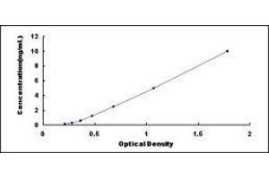 Lin-28 Homolog A (C. Elegans) (LIN28A) ELISA Kit