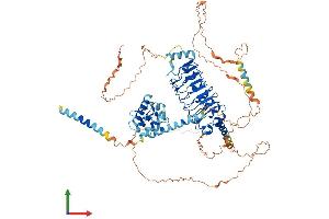 Protein Structure (PS) image for Leucine-Rich Repeats and Calponin Homology (CH) Domain Containing 1 (LRCH1) (AA 1-728) protein (His tag) (ABIN7549112)