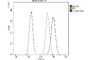 Flow Cytometry analysis of A549 cells using anti-DR5 antibody (ABIN5518794).
