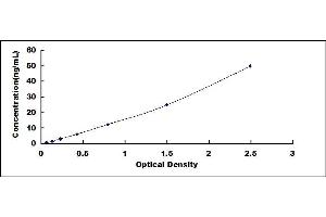 Typical standard curve (Fibronectin ELISA 试剂盒)