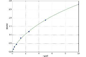 Flotillin 1 (FLOT1) ELISA Kit