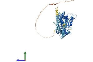 Protein Structure (PS) image for Atlastin GTPase 2 (ATL2) (AA 1-583) protein (His tag) (ABIN7558024)