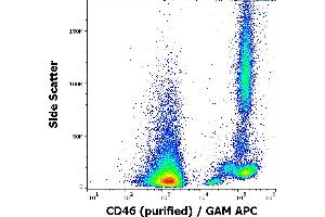 Flow cytometry surface staining pattern of human peripheral blood cells stained using anti-human CD46 (MEM-258) purified antibody (concentration in sample 0,5 μg/mL) GAM APC. (CD46 抗体)