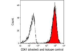 Flow Cytometry (FACS) image for anti-Cyclin-Dependent Kinase 1 (CDK1) (AA 1-50) antibody (ABIN7454007)