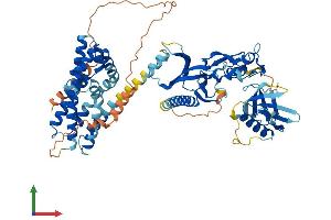 AlphaFold protein structure predicition of Human Recombinant FGD2 Protein, UniprotID Q7Z6J4