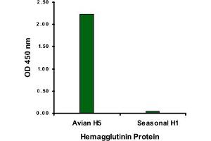 ELISA analysis of Avian Influenza Hemagglutinin 2 protein with 1 ug/mL Avian Influenza Hemagglutinin 2 polyclonal antibody . (Hemagglutinin 抗体  (N-Term))