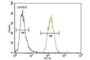 Flow Cytometry (FACS) image for anti-Xanthine Dehydrogenase (XDH) antibody (ABIN3004109) (XDH 抗体)