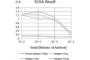 Black line: Control Antigen (100 ng),Purple line: Antigen (10 ng), Blue line: Antigen (50 ng), Red line:Antigen (100 ng) (CD48 抗体  (AA 47-181))