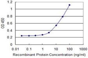 Detection limit for recombinant GST tagged BHLHA15 is 1 ng/ml as a capture antibody. (BHLHA15 抗体  (AA 75-140))