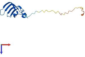 SNRPD1 Protein (AA 1-119) (His tag)