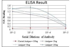 Red: Control Antigen (100 ng), Purple: Antigen (10 ng), Green: Antigen (50 ng), Blue: Antigen (100 ng), (MAP2K6 抗体)