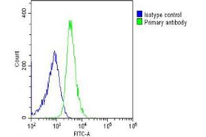 Overlay histogram showing U-2OS cells stained with (ABIN6242973 and ABIN6578633) (green line). (ITIH4 抗体  (AA 784-816))