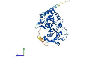 Protein Structure (PS) image for Fucosyltransferase 9 (Alpha (1,3) Fucosyltransferase) (FUT9) (AA 1-359) protein (His tag) (ABIN7547851)