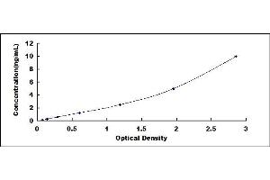 Typical standard curve (WNT11 ELISA 试剂盒)