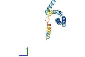 AlphaFold protein structure predicition of Human Recombinant CHMP1A Protein, UniprotID Q9HD42