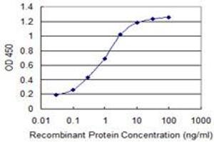 Detection limit for recombinant GST tagged ADRM1 is 0. (ADRM1 抗体  (AA 18-407))