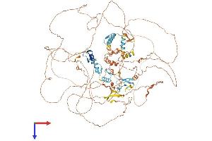 Zinc Finger Protein 518B (ZNF518B) (AA 1-1074) protein (His tag)